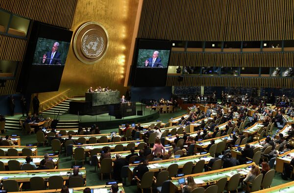 Israel Should Quit Putting up With UN's 'Triple' Standards - Ex-Israeli Diplomat - Sputnik International