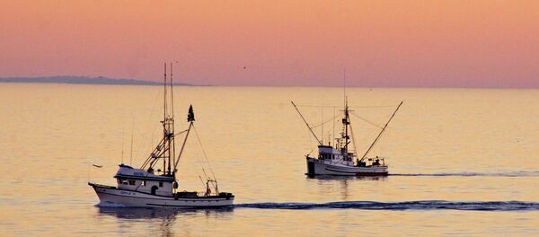 Fishing Boats, Santa Cruz, California - Sputnik International