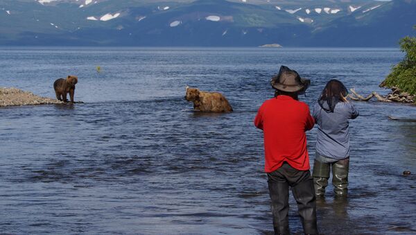 Bears and Tourists at Kurilskoye Lake in Kamchatka - Sputnik International