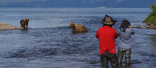 Bears and Tourists at Kurilskoye Lake in Kamchatka Bears and Tourists at Kurilskoye Lake in Kamchatka - Sputnik International