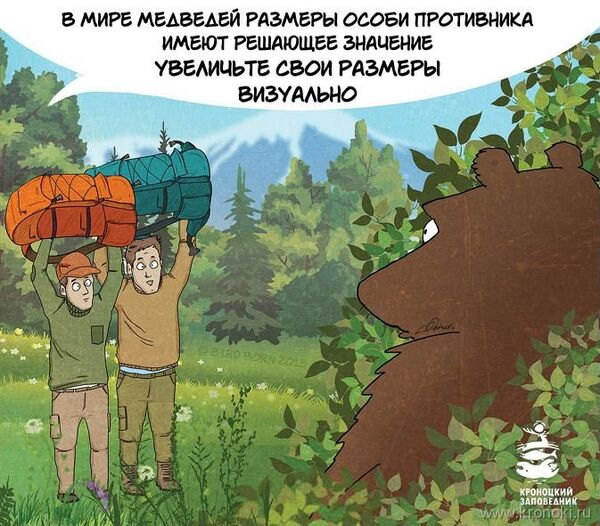 Bear comics Bear comics - Sputnik International