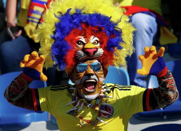 Viva Football: Copa America's Colorful Fans - Sputnik International