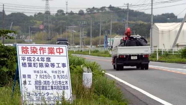 Road at Naraha town in Fukushima prefecture - Sputnik International