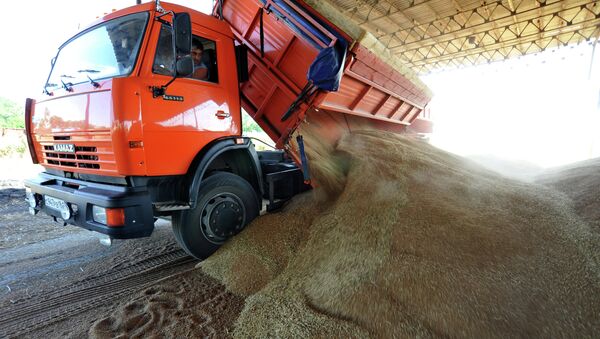 Grain harvesting in the Rostov region - Sputnik International