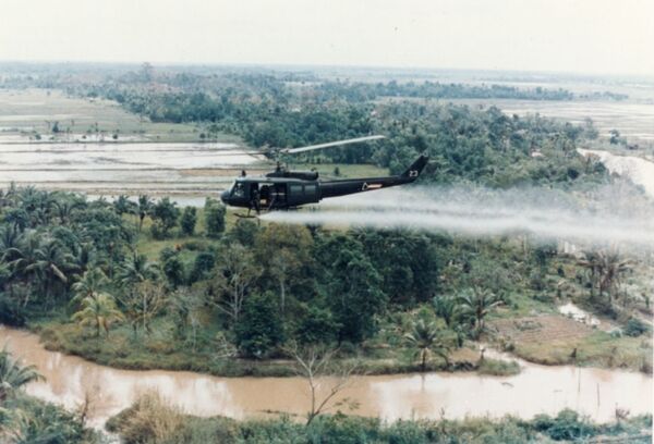 A Little Help From Their Friends: How Vietnam Withstood Largest Bombing Campaign in Human History A Little Help From Their Friends: How Vietnam Withstood Largest Bombing Campaign in Human History - Sputnik International
