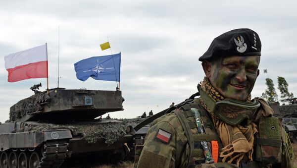 Polish tank comander smiles after a NATO Response Force (NRF) exercise in Zagan, southwest Poland on June 18, 2015 - Sputnik International