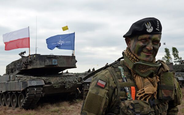 Polish tank commander smiles after a NATO Response Force (NRF) exercise in Zagan, southwest Poland on June 18, 2015. - Sputnik International