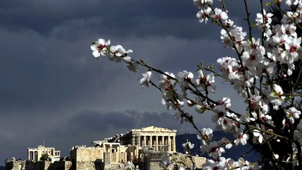 The Athens Acropolis is seen behind a branch of a blooming tree - Sputnik International