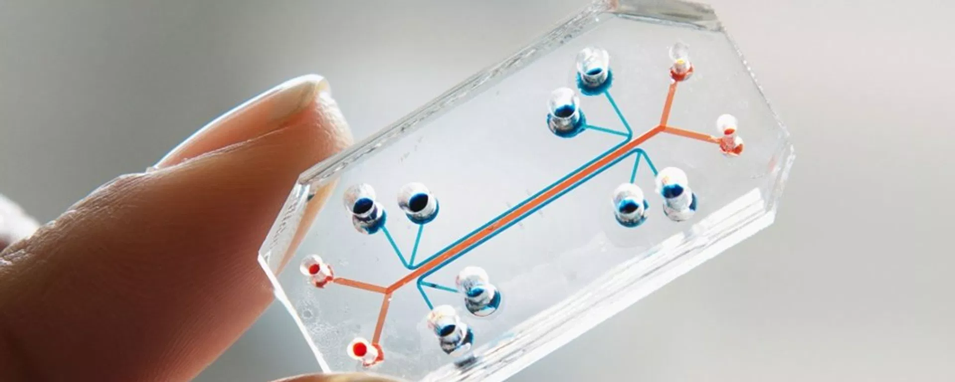 On May 26, 2023, Chinese Commerce Minister Wang Wentao announced a consensus between Beijing and Seoul on semiconductor industry - Sputnik International, 1920, 27.05.2023