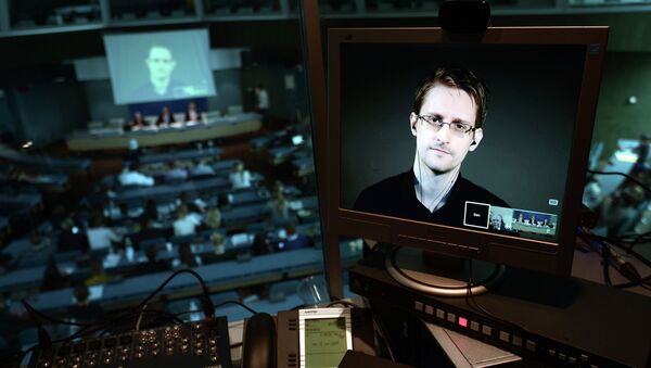 NSA former intelligence contractor Edward Snowden is seen via live video link from Russia on a computer screen during a parliamentary hearing on the subject of Improving the protection of whistleblowers, on June 23, 2015, at the Council of Europe in Strasbourg - Sputnik International