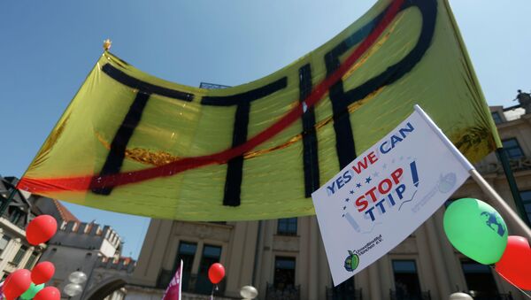People demonstrate against the Transatlantic Trade and Investment Partnership (TTIP) a proposed free trade agreement between the European Union and the United States, during a protest rally prior to the G7 summit, in Munich, Germany June 3, 2015 - Sputnik International