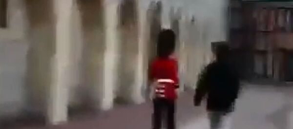 Queen's Guard Draws Rifle on Tourist - Sputnik International