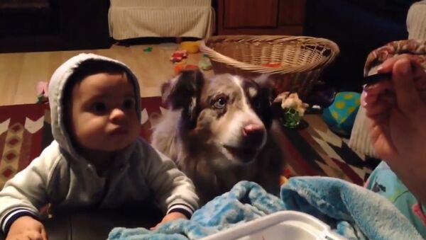 Baby can't say 'mama' but the family dog totally can - Sputnik International