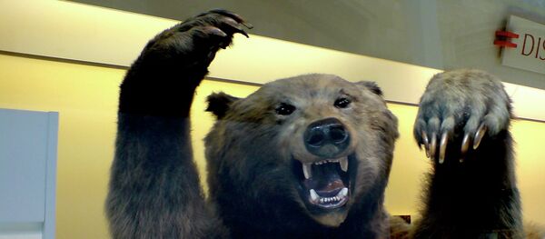 Anti-Russian propaganda in Europe is reaching a new high. Schools in the Netherlands are making sure Dutch children grow up with an awareness of just how “bad” Russia is, Alles Schall und Rauch reported. Anti-Russian propaganda in Europe is reaching a new high. Schools in the Netherlands are making sure Dutch children grow up with an awareness of just how “bad” Russia is, Alles Schall und Rauch reported. - Sputnik International