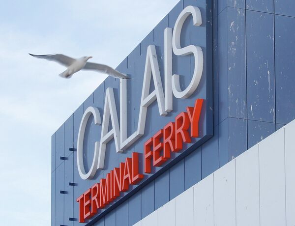 A seagull flies past he car ferry terminal in Calais, northern France, Monday, June 29, 2015. - Sputnik International