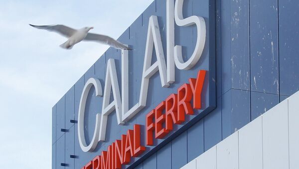 A seagull flies past he car ferry terminal in Calais, northern France, Monday, June 29, 2015. - Sputnik International