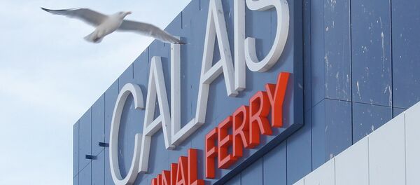 A seagull flies past he car ferry terminal in Calais, northern France, Monday, June 29, 2015. A seagull flies past he car ferry terminal in Calais, northern France, Monday, June 29, 2015. - Sputnik International