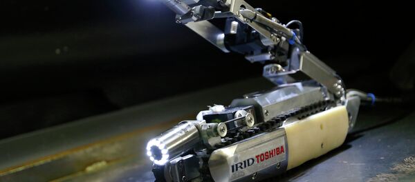 The scorpion-robot developed by Toshiba Corp. is demonstrated at its laboratory in Yokohama, near Tokyo, Tuesday, June 30, 2015. - Sputnik International
