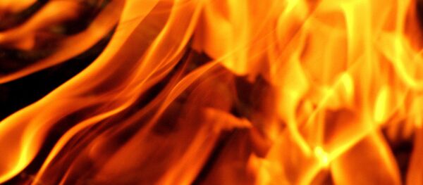 New Mom Started Wildfire to Call for Help After Giving Birth in Wilderness New Mom Started Wildfire to Call for Help After Giving Birth in Wilderness - Sputnik International