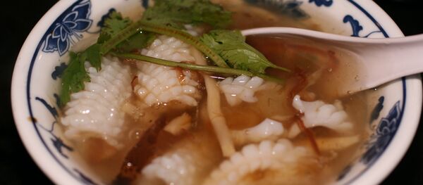 Squid Soup Squid Soup - Sputnik International