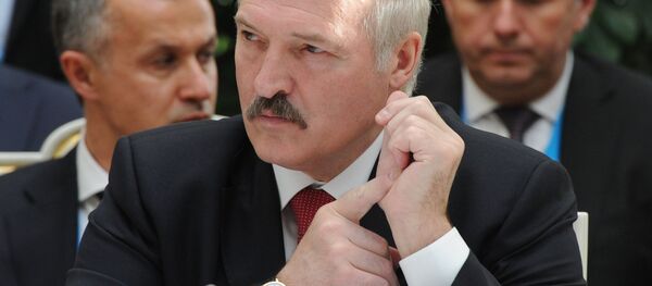 Meeting of Supreme Eurasian Economic Council at the level of heads of state Meeting of Supreme Eurasian Economic Council at the level of heads of state - Sputnik International