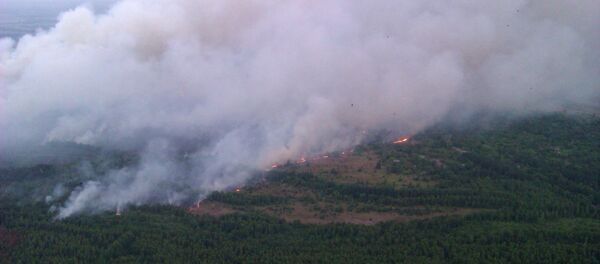 In this Monday, June 29, 2015 handout photo made available by the Ukrainian Emergency Situations Ministry press service on Tuesday, June 30, 2015, an aerial view of a forest fire is seen in the Chernobyl area, Ukraine - Sputnik International