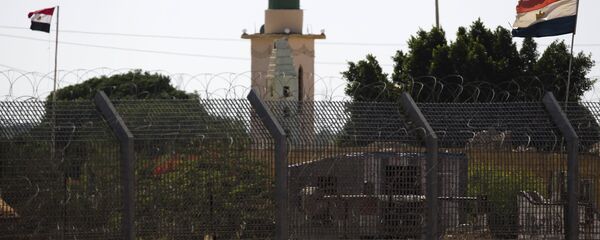 Egyptian flags flutter in Egypt's North Sinai as seen from across the border in southern Israel July 1, 2015 Egyptian flags flutter in Egypt's North Sinai as seen from across the border in southern Israel July 1, 2015 - Sputnik International