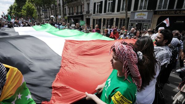 Protesters unfold a large Palestinian flag during a pro-Palestinian demonstration in Paris on August 2, 2014 - Sputnik International