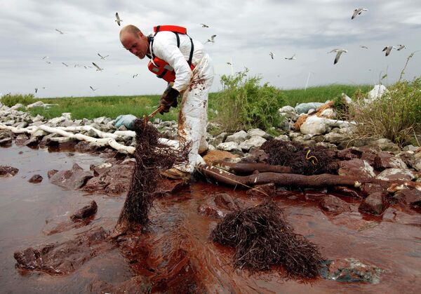 A worker picks up blobs of oil with absorbent snare on Queen Bess Island at the mouth of Barataria Bay near the Gulf of Mexico in Plaquemines Parish, La. U.S A worker picks up blobs of oil with absorbent snare on Queen Bess Island at the mouth of Barataria Bay near the Gulf of Mexico in Plaquemines Parish, La. U.S - Sputnik International