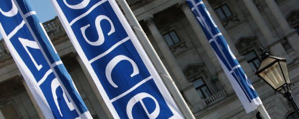 Flags with a logo of OSCE in Vienna Flags with a logo of OSCE in Vienna - Sputnik International