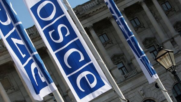 Flags with a logo of OSCE - Sputnik International