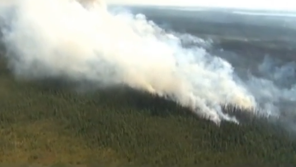 Saskatchewan wildfires force nearly 8,000 people out of homes - Sputnik International