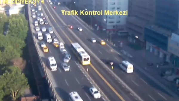 Seagull causes multiple-vehicle collision - Sputnik International