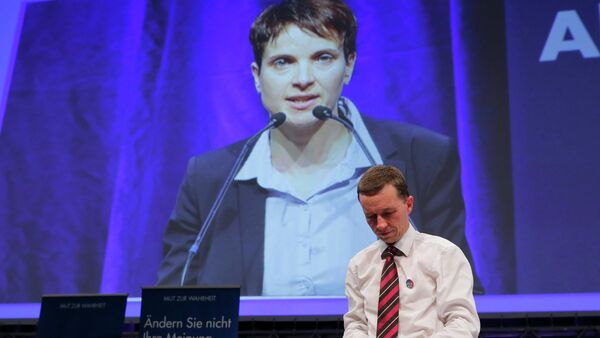 Frauke Petry appears on a large screen after being elected as leader of the eurosceptic party Alternative fuer Deutschland (AfD) while former leader Bernd Lucke wathces at the AfD's party congress in Essen, western Germany, July 4, 2015 - Sputnik International