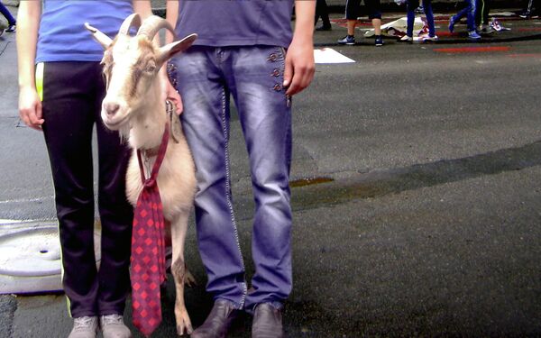 Protests in Odessa Protests in Odessa - Sputnik International