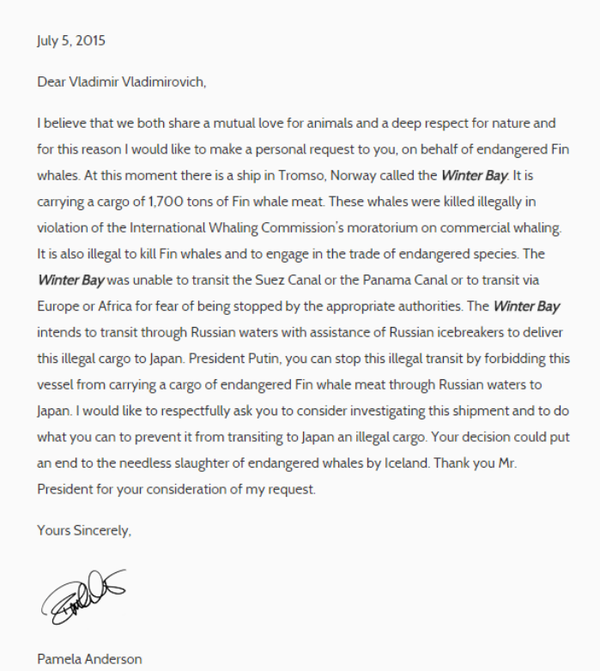 Actress and activist Pamela Anderson's letter to Russian President Vladimir Putin Actress and activist Pamela Anderson's letter to Russian President Vladimir Putin - Sputnik International