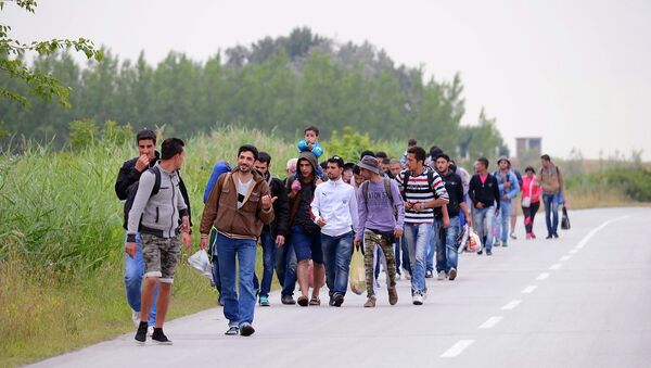 Migrants, .mostly from Syria, headed for EU member Hungary, walk in groups towards Hungary in Kanjiza, North Serbia, near the Hungarian border - Sputnik International