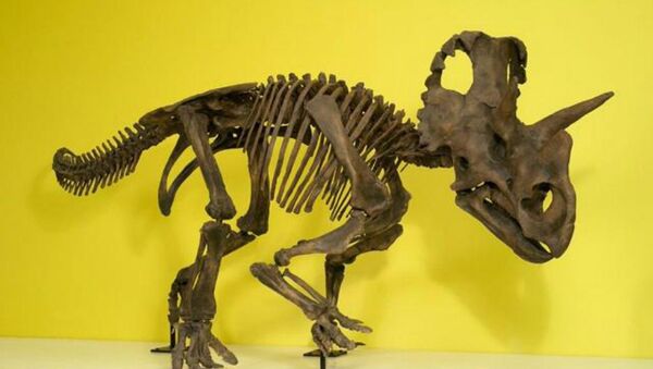 New dinosaur gets official name in honor of female paleontologist - Sputnik International