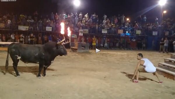 Don't Mess with the Flaming-horns Bull - Sputnik International