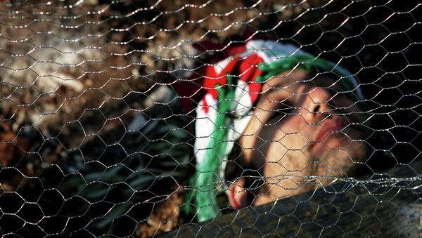 An Israeli activist lays behind wire fencing as he and others try to stop Israeli bulldozers, not seen, from working, during a joint protest with Israelis, Palestinians and foreign peace activists against Israel's seperation barrier in the West Bank. - Sputnik International