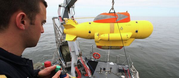 Tech Goes Fishy: Robots to Guard Russian Maritime Borders Tech Goes Fishy: Robots to Guard Russian Maritime Borders - Sputnik International