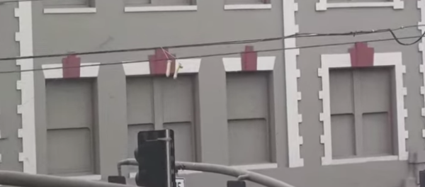 Sex Toy Scandal: Hundreds of Dildos Dangle from Portland Powerlines - Sputnik International