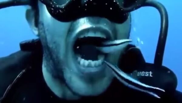 How to brush your teeth under water - Sputnik International