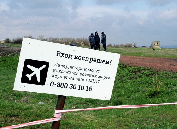 Leaked Docs Point to No Buk Missile Systems Around MH17 Crash Area, Dutch Journo Reveals Leaked Docs Point to No Buk Missile Systems Around MH17 Crash Area, Dutch Journo Reveals - Sputnik International