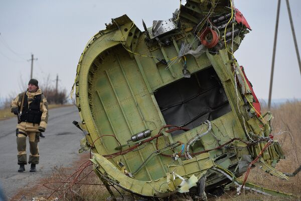 German Detective Can Offer Russia, Malaysia Findings of His Own MH17 Crash Probe German Detective Can Offer Russia, Malaysia Findings of His Own MH17 Crash Probe - Sputnik International