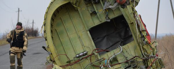 Dutch experts work at Malaysia Airlines Flight MH17 crash site - Sputnik International