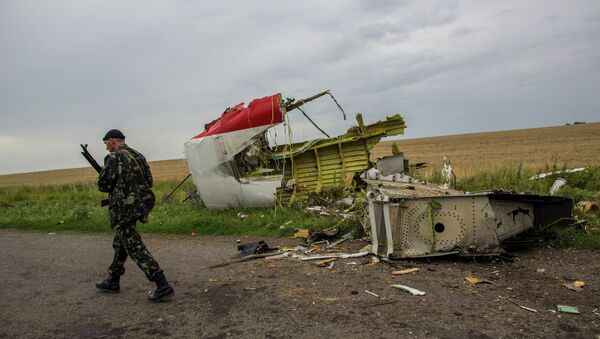 At the crash site of Malaysia Airlines flight MH17 in Ukraine - Sputnik International