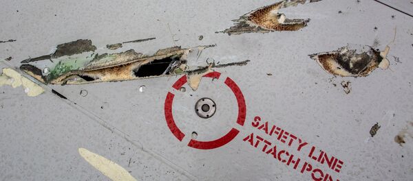 Crash site of Malaysia Airlines flight MH17 near Shaktyorsk Crash site of Malaysia Airlines flight MH17 near Shaktyorsk - Sputnik International