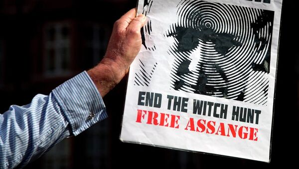 A supporter of Wikileaks founder Julian Assange holds a banner outside the Ecuadorian embassy in London. - Sputnik International