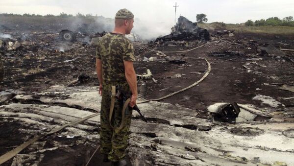 An armed man stands at the site of a Malaysia Airlines Boeing 777 plane crash in the settlement of Grabovo in the Donetsk region, in this July 17, 2014 file picture - Sputnik International